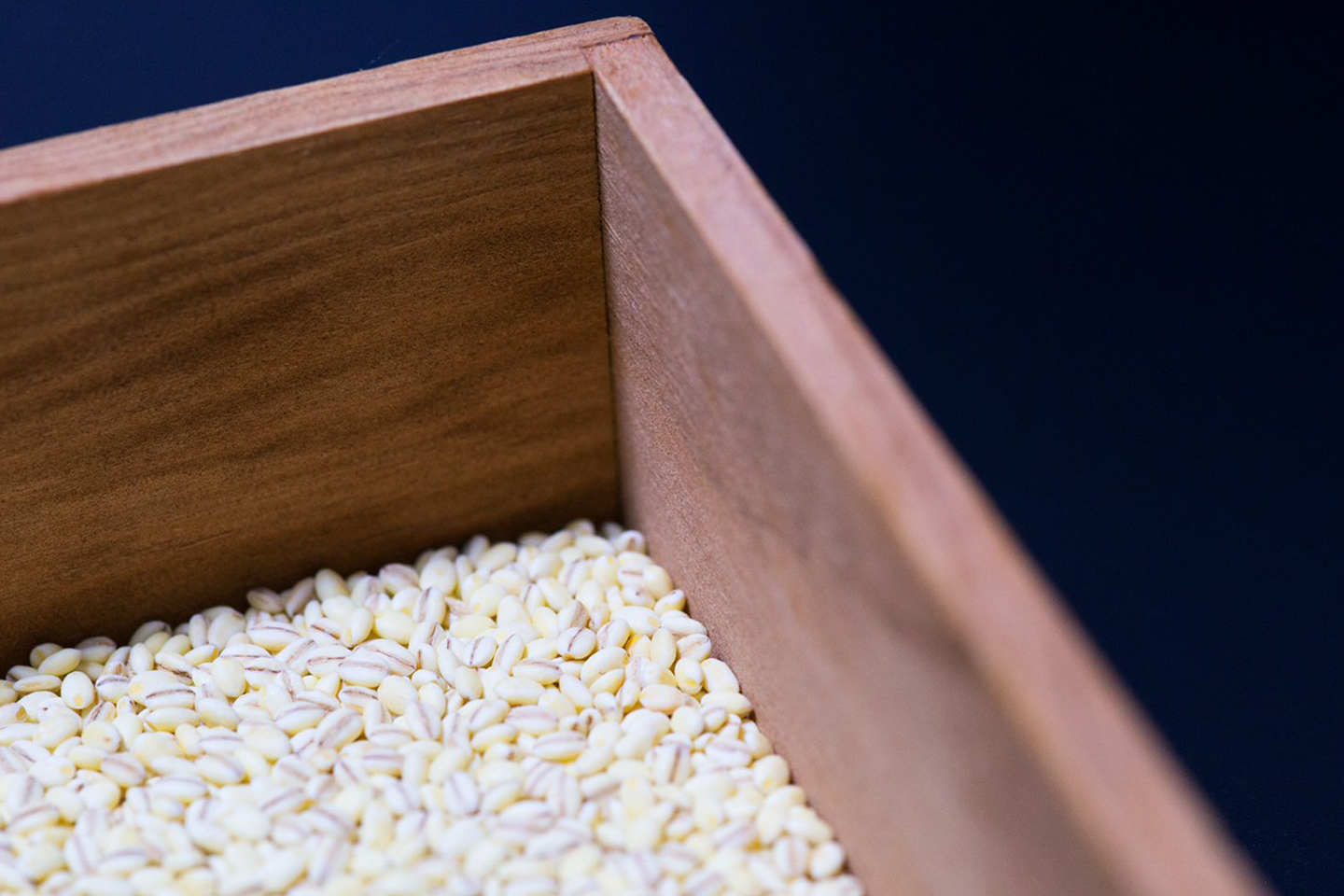 もち麦 ダイエット ｜ 糖尿病レシピ